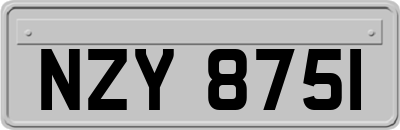 NZY8751