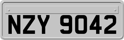 NZY9042