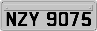 NZY9075