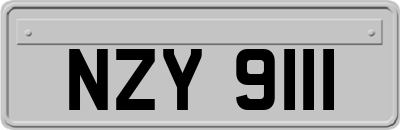 NZY9111