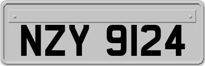 NZY9124