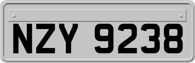 NZY9238