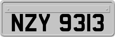 NZY9313