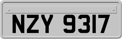 NZY9317