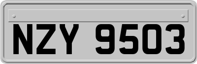 NZY9503