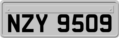NZY9509