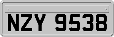 NZY9538