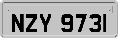 NZY9731