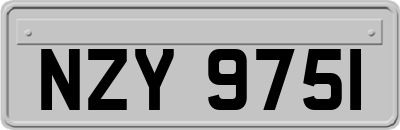 NZY9751