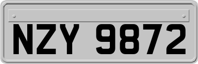 NZY9872