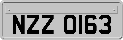 NZZ0163