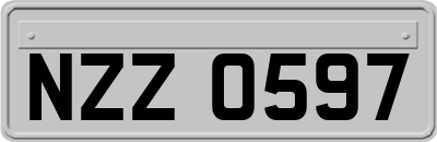 NZZ0597