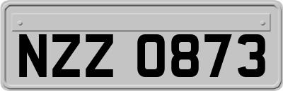 NZZ0873