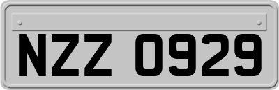 NZZ0929