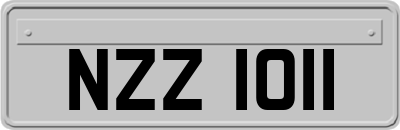 NZZ1011