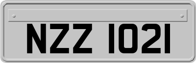 NZZ1021
