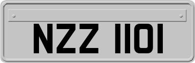 NZZ1101