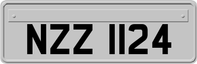 NZZ1124