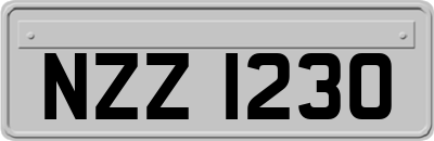 NZZ1230