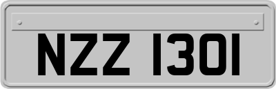 NZZ1301