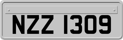 NZZ1309