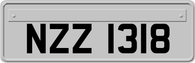 NZZ1318