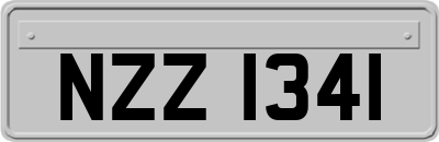 NZZ1341