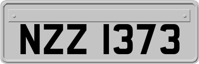 NZZ1373