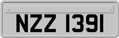 NZZ1391