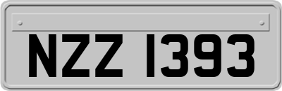 NZZ1393