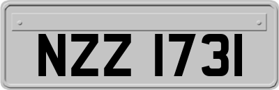 NZZ1731