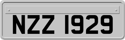 NZZ1929