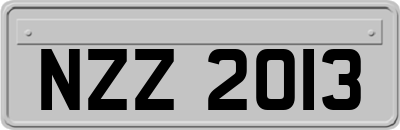 NZZ2013