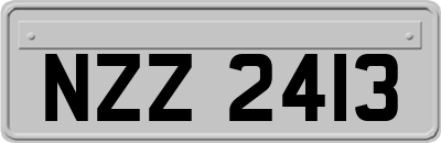 NZZ2413