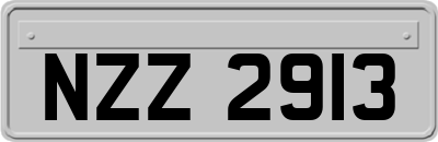 NZZ2913