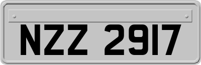 NZZ2917