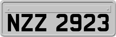 NZZ2923
