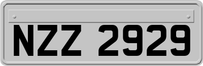 NZZ2929