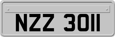 NZZ3011