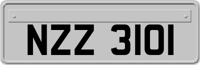 NZZ3101