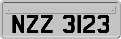 NZZ3123
