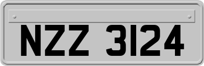 NZZ3124