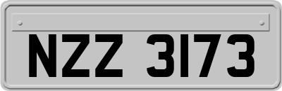 NZZ3173