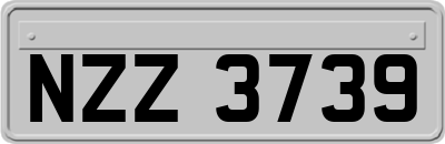 NZZ3739