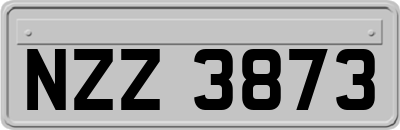 NZZ3873