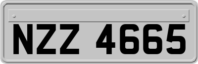 NZZ4665