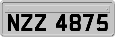 NZZ4875