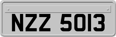 NZZ5013