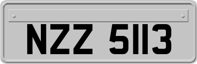 NZZ5113