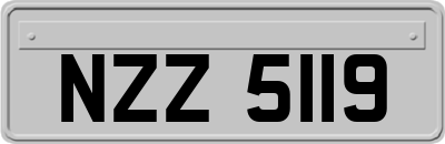 NZZ5119